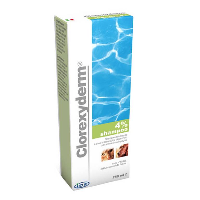 CLOREXYDERM SH 4% 250ML