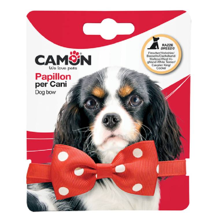 PAPILLON ASSORTIMENTO A
